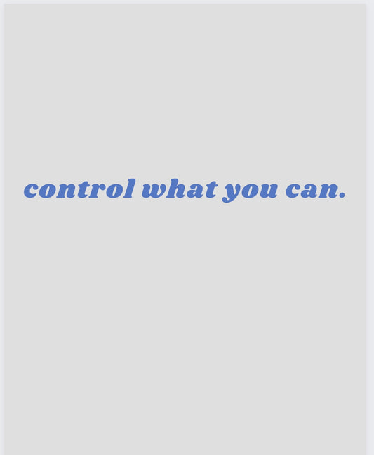 control what you can. - grey/ blue crew